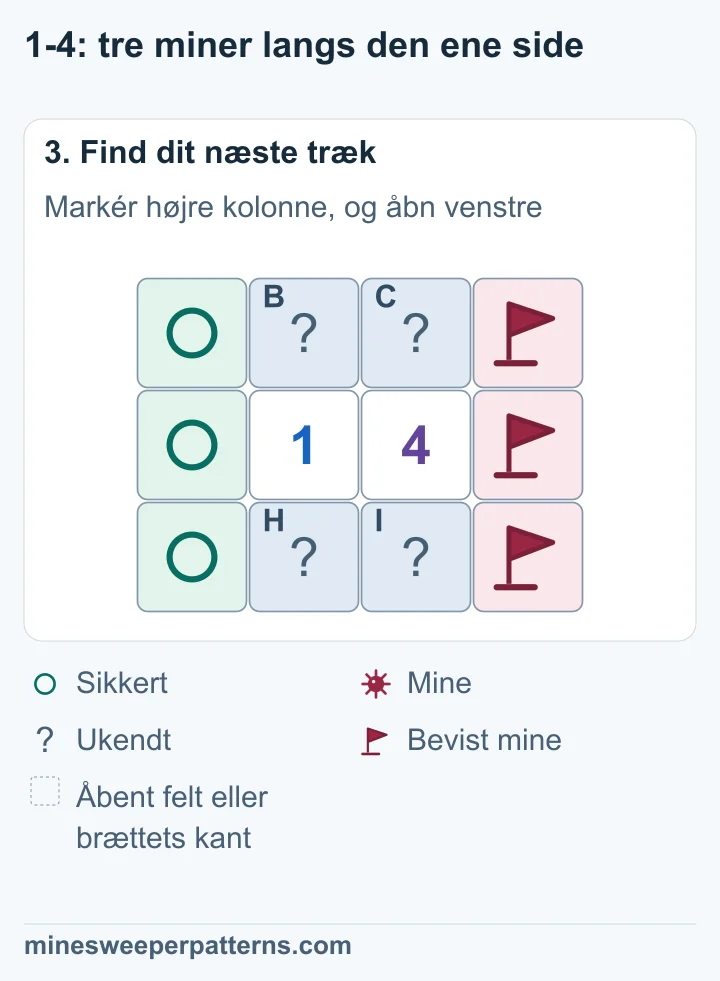 Højre yderkolonne har tre flag, venstre har tre sikre cirkler, og den fælles gruppes ene mine er uafklaret.