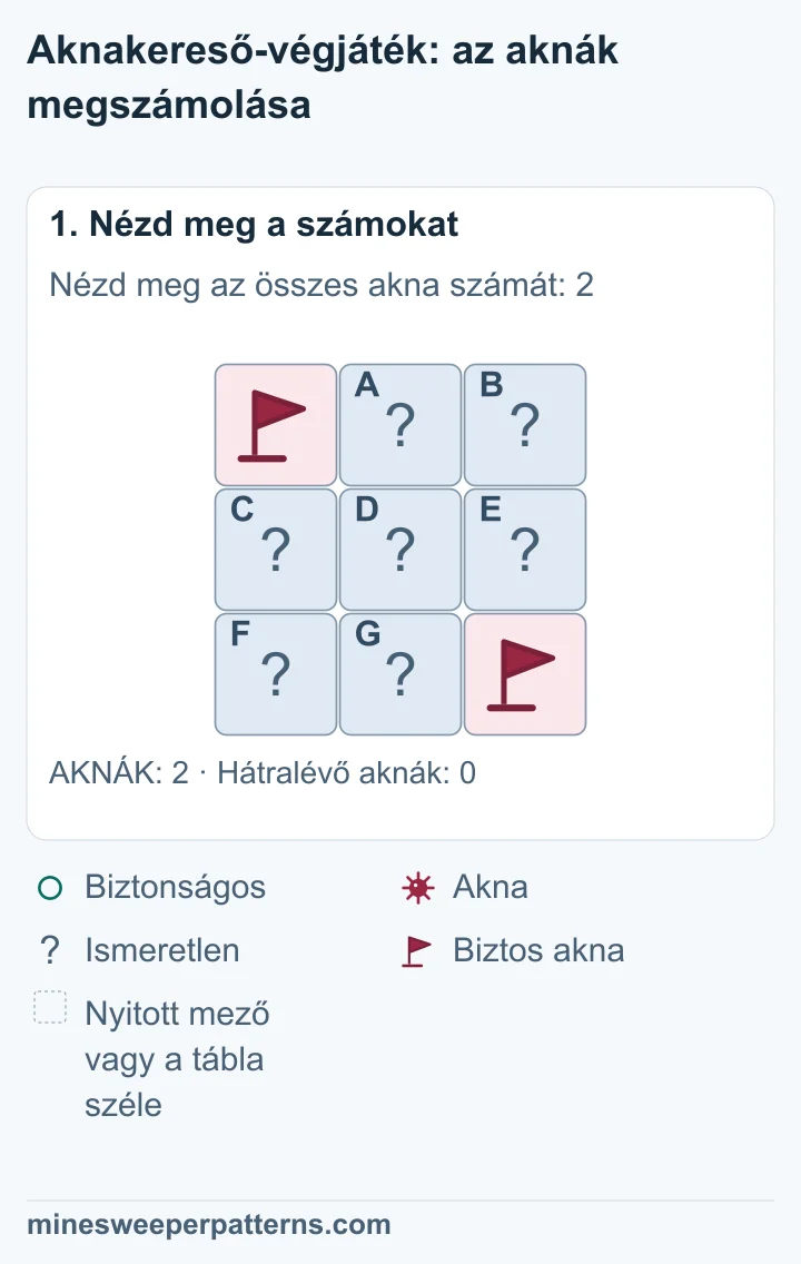A teljes, 3 × 3 mezős táblán két akna van. A bal felső és jobb alsó sarokban zászló jelöl biztos aknát. A többi hét mező fedett.