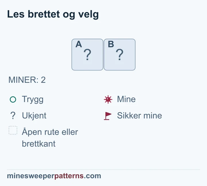 Hele brettet har to miner og bare to lukkede ruter; begge må ha miner, men ingen har flagg.