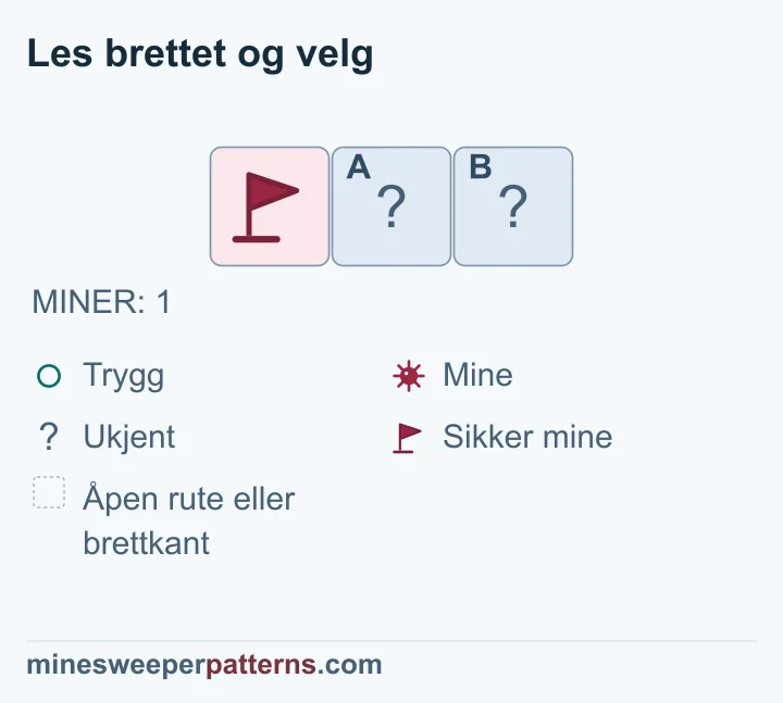 Hele brettet har én mine, allerede merket med flagg; de to andre rutene må være trygge, men er fortsatt lukket.