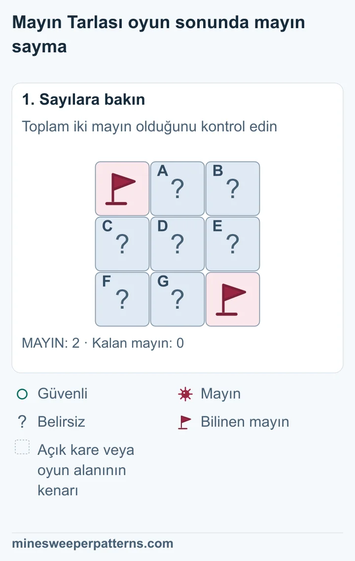 3 × 3 oyun alanının tamamında iki mayın var. Sol üst ve sağ alt köşedeki bilinen mayınlar bayraklı. Diğer yedi kare kapalı.